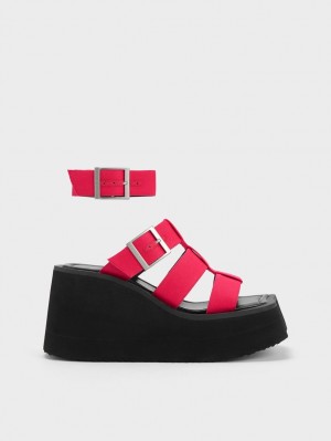 Charles & Keith IIsa Flatform Gladiator Platåsandaler Fuchsia | YIZPQ3047