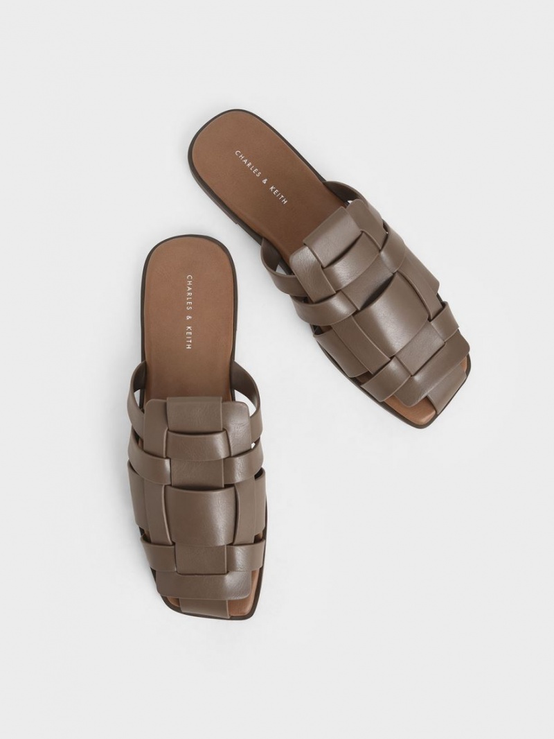 Charles & Keith Woven Flate Mules Sko Mørke Brune | ZVMCR6143