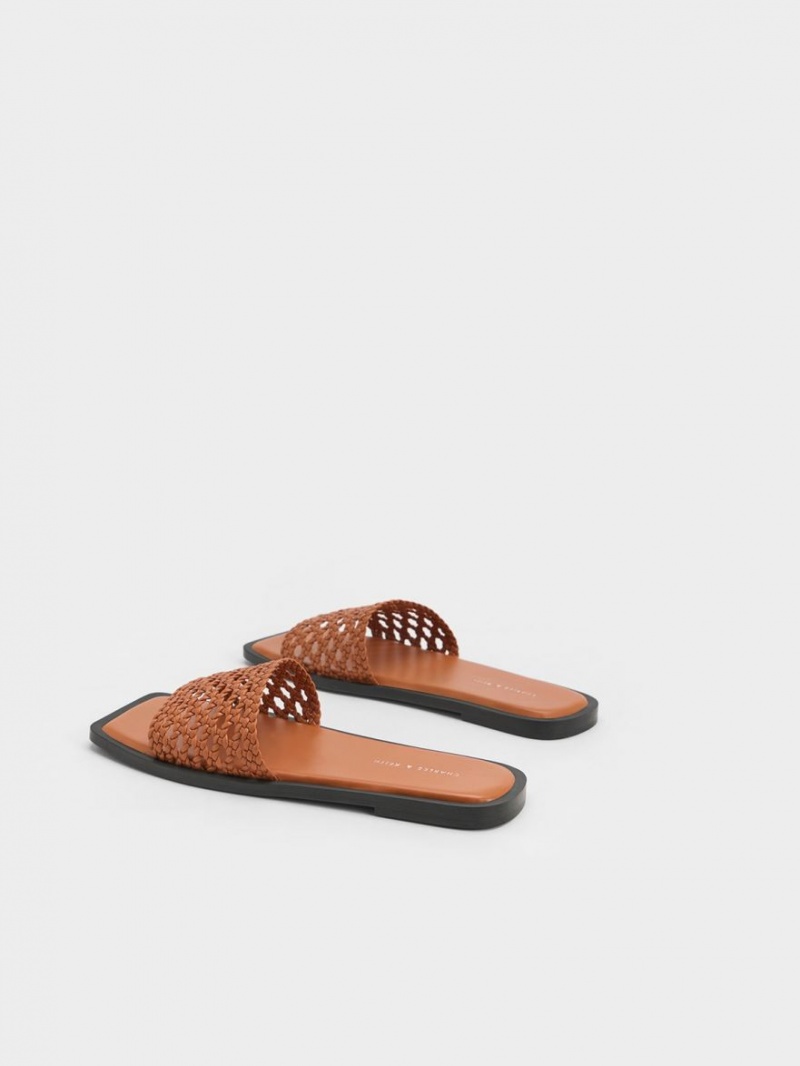 Charles & Keith Woven Square-Tå Badesandaler Brune | QKOUT5873