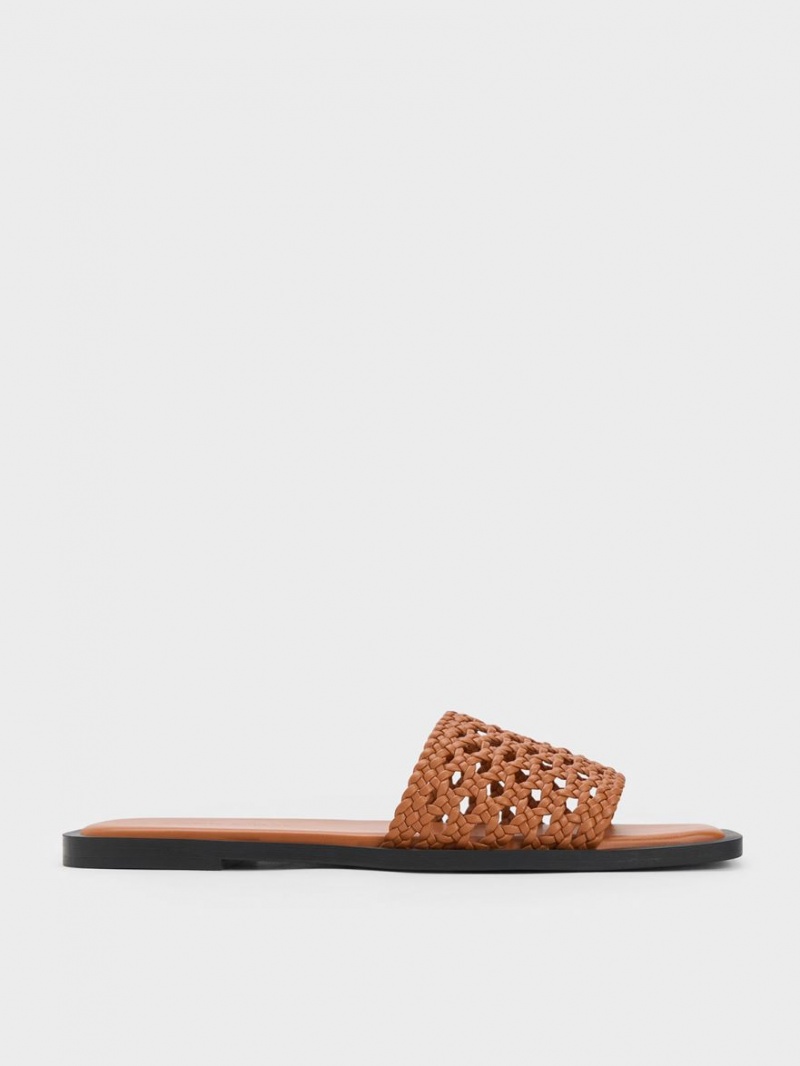 Charles & Keith Woven Square-Tå Badesandaler Brune | QKOUT5873